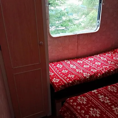 度假居 Domki Gzielki 达布基